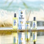 diffuseur de parfum avec batonnets prestige de menton