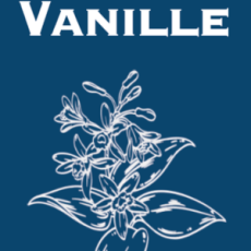Vanille / Echantillon